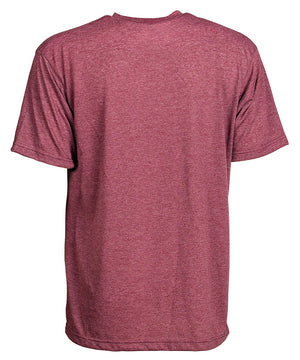 Back view of burgundy short sleeve tee shirt
